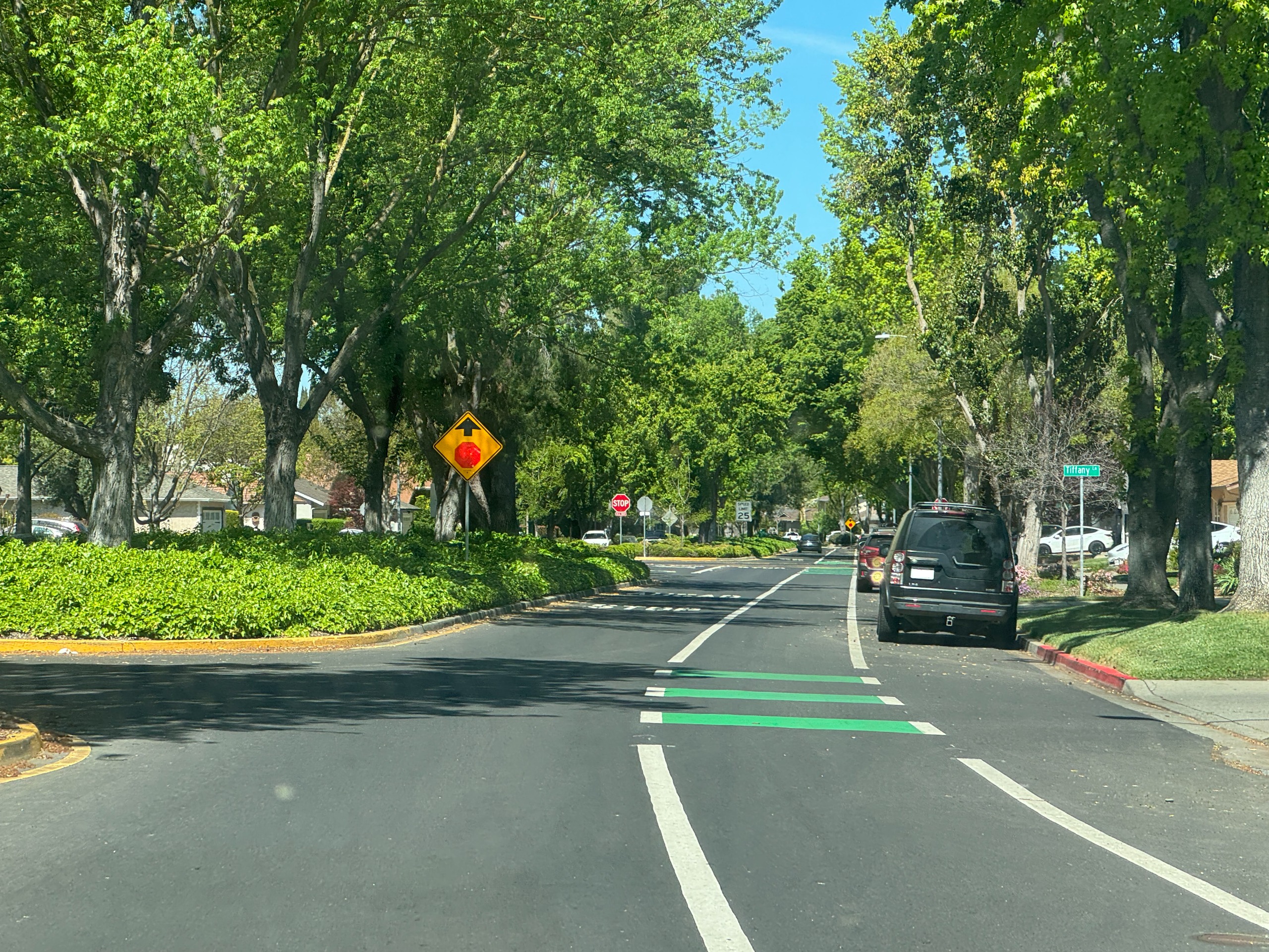 Street in Pleasanton with Bike Lane